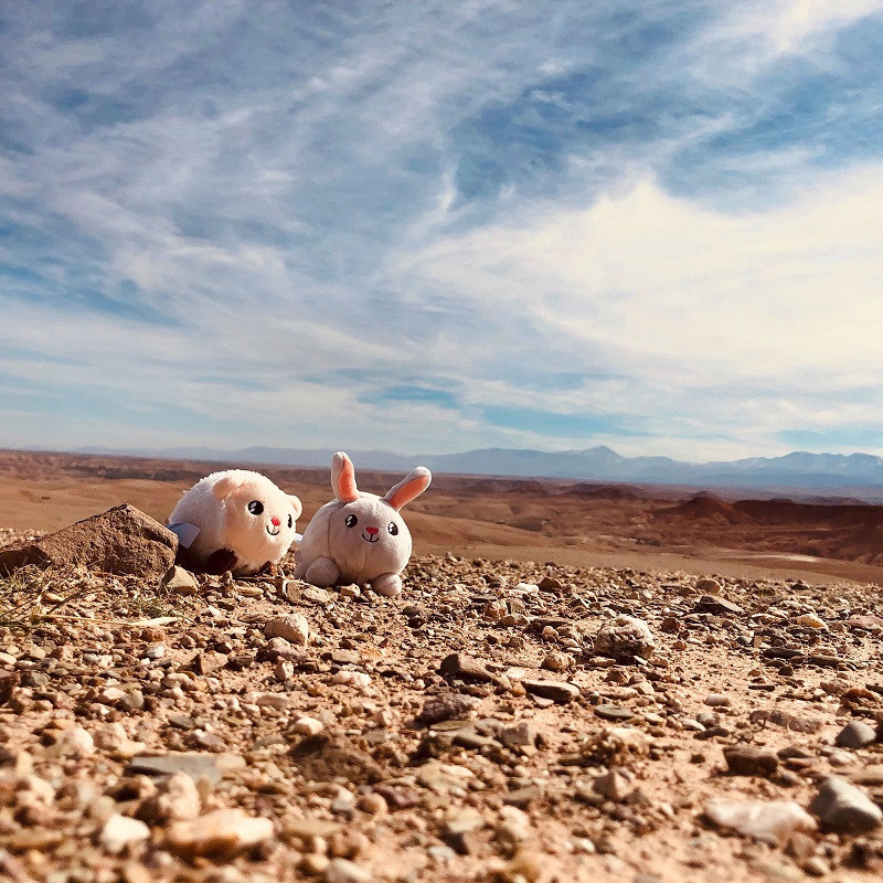Peluche lumineuse Shakie PABOBO Lapin Blanc