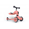 Porteur-trottinette Highwaykick 1 SCOOT AND RIDE Pêche