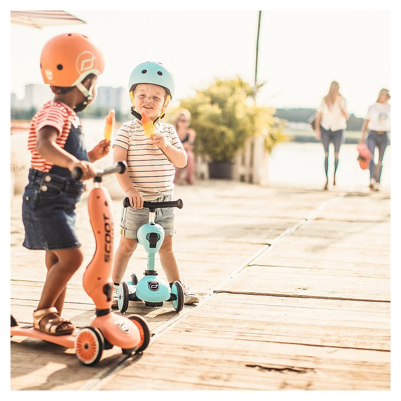 Porteur-trottinette Highwaykick 1 SCOOT AND RIDE Pêche