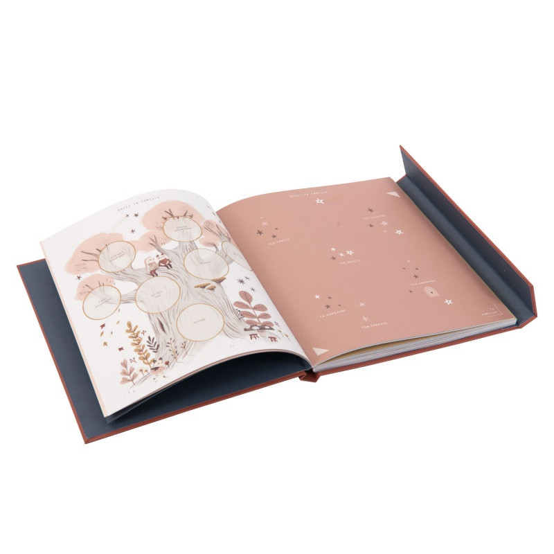 Livre de naissance 80p MOULIN ROTY Apres la pluie