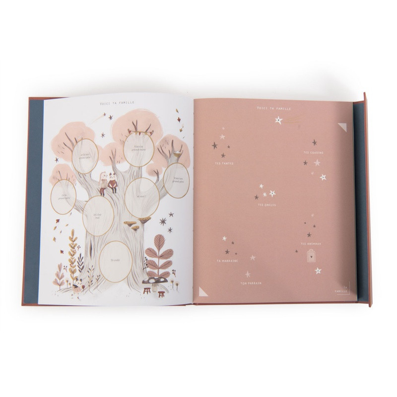 Livre de naissance 80p MOULIN ROTY Apres la pluie