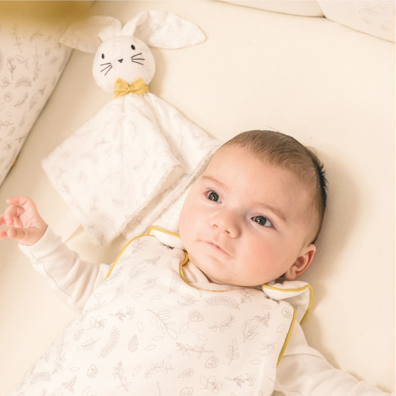 Box doudou + anneau de dentition DOMIVA Leafy Bunny