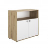 Commode 2 portes GALIPETTE Arthur