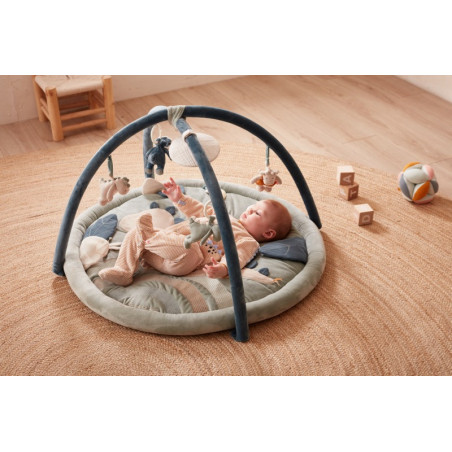 Tapis d’éveil avec arche de jeu Dino Ops NOUKIES Tiga, Stegi & Ops