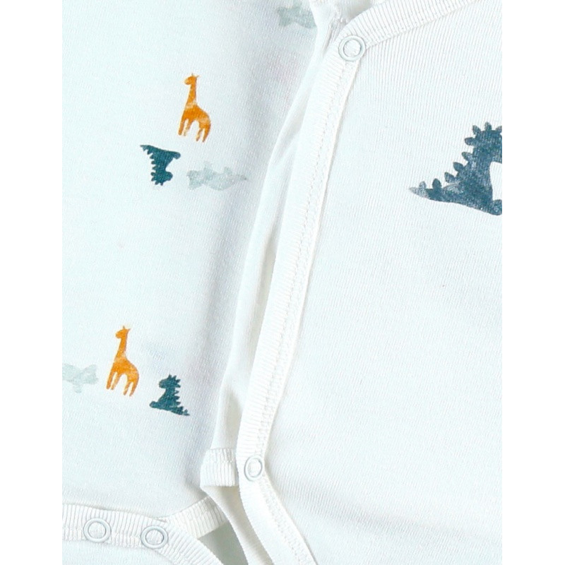 Set de 2 bodys bio Dinosaures 6m NOUKIES Stegi, Tiga & Ops