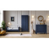 Chambre trio Milenne VOX Indigo