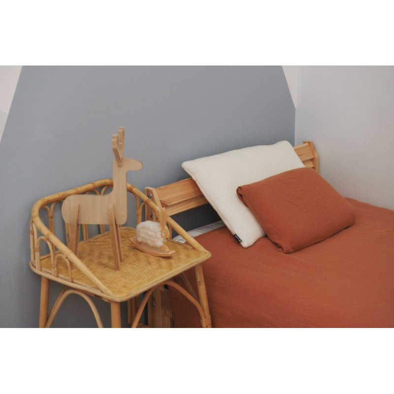 Oreiller coton 40 x 60 cm CANDIDE