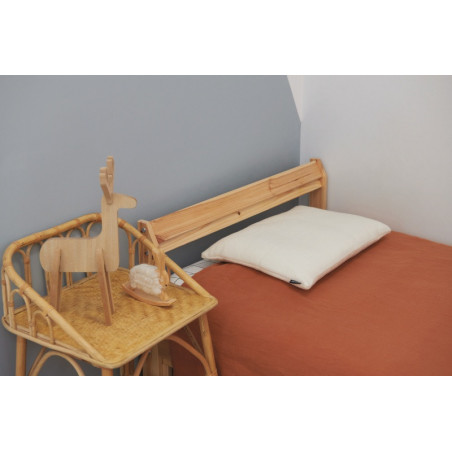 Oreiller coton 40 x 60 cm CANDIDE