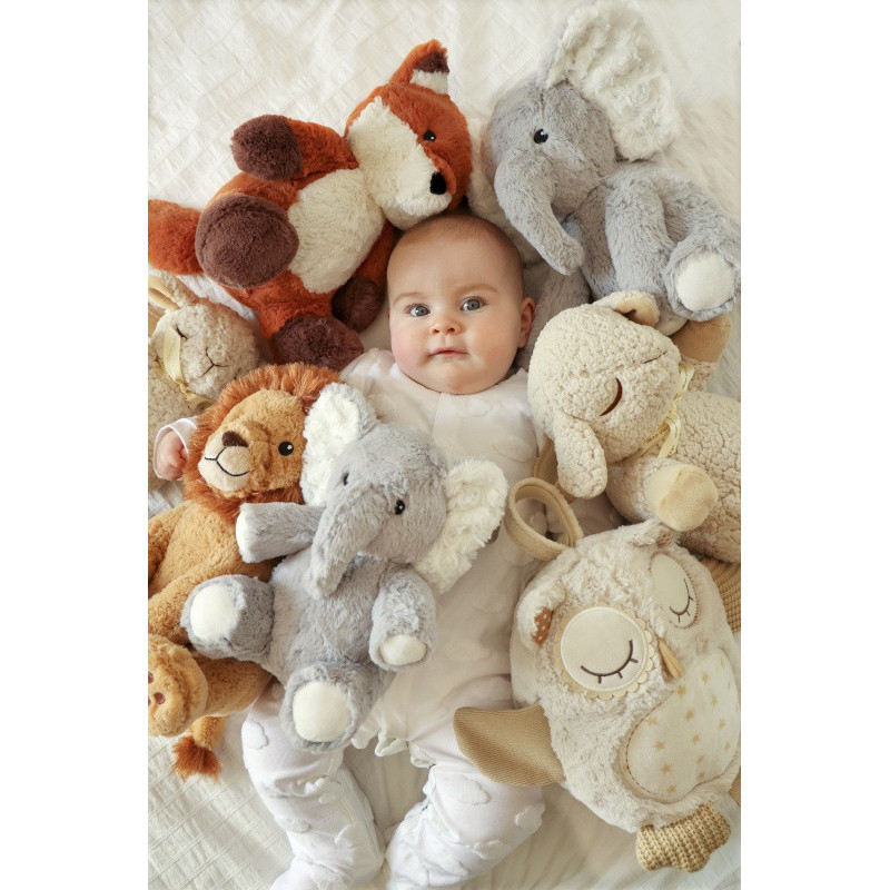 Eliott l’éléphant CLOUD-B