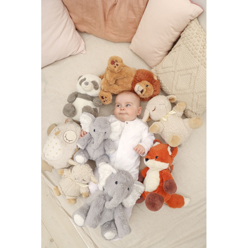 Eliott l’éléphant CLOUD-B