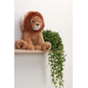 Louis le lion Smart Sensor CLOUD-B
