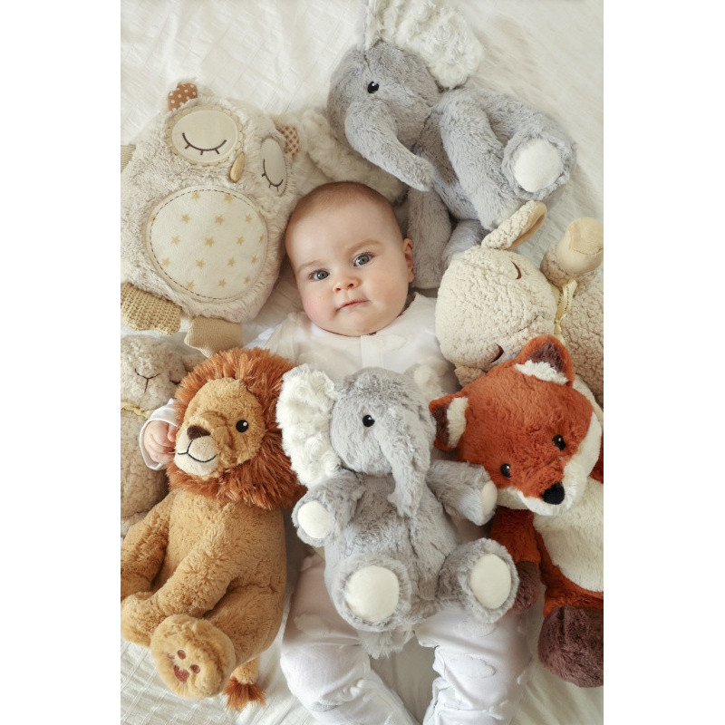 Louis le lion Smart Sensor CLOUD-B