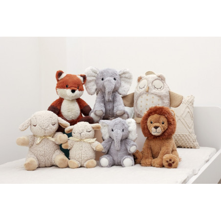 Louis le lion Smart Sensor CLOUD-B