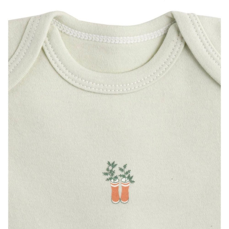 Lot de 3 bodies à manches courtes 3mois SAUTHON Botanica