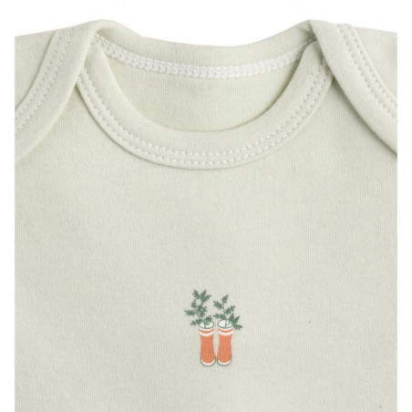 Lot de 3 bodies à manches courtes 6mois SAUTHON Botanica