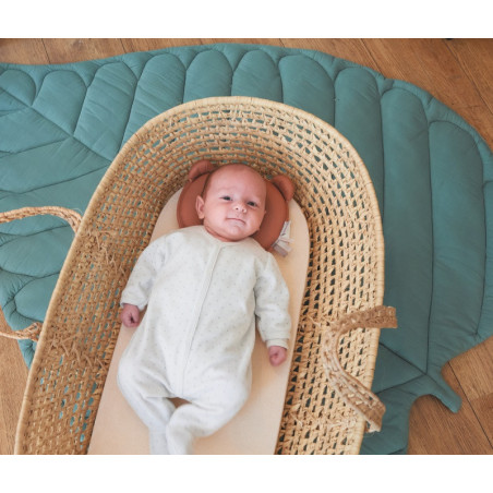 P'tit Panda Air + CANDIDE Cassonnade