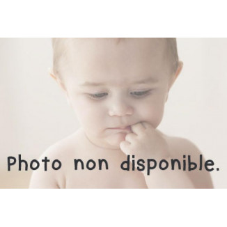 Gourde tritan 450ml avec bec - B.box for kid - Indigo rose