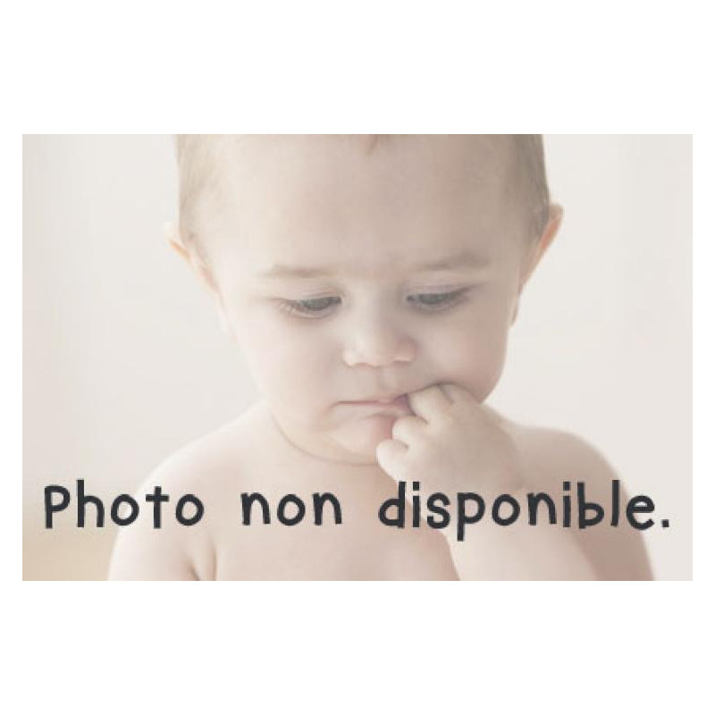 Gourde tritan 450ml avec bec - B.box for kid - Indigo rose