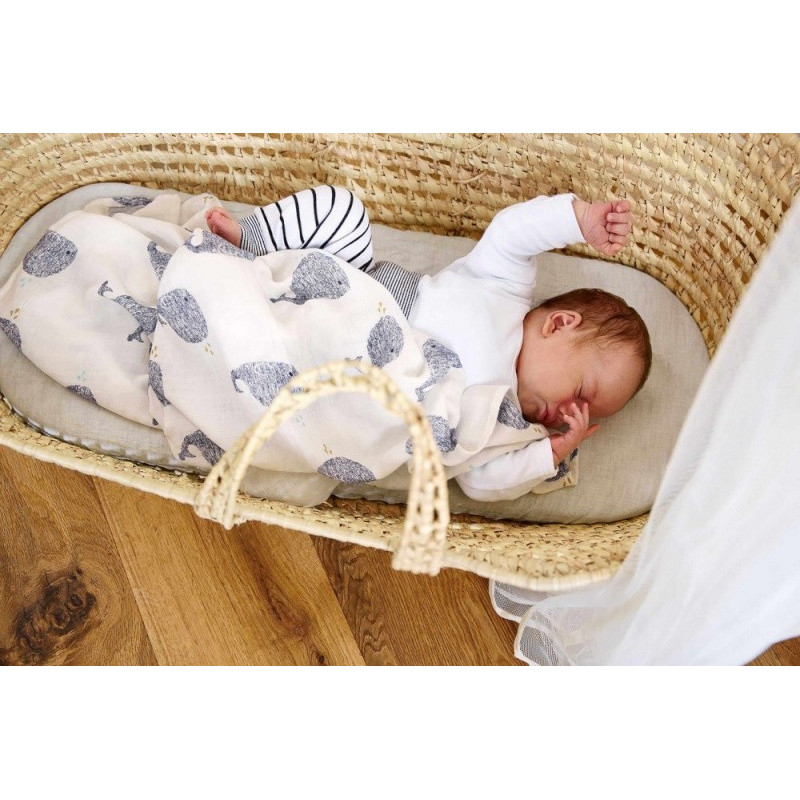 Lot de 3 langes divinement doux 80x80 LASSIG Baleine Little water