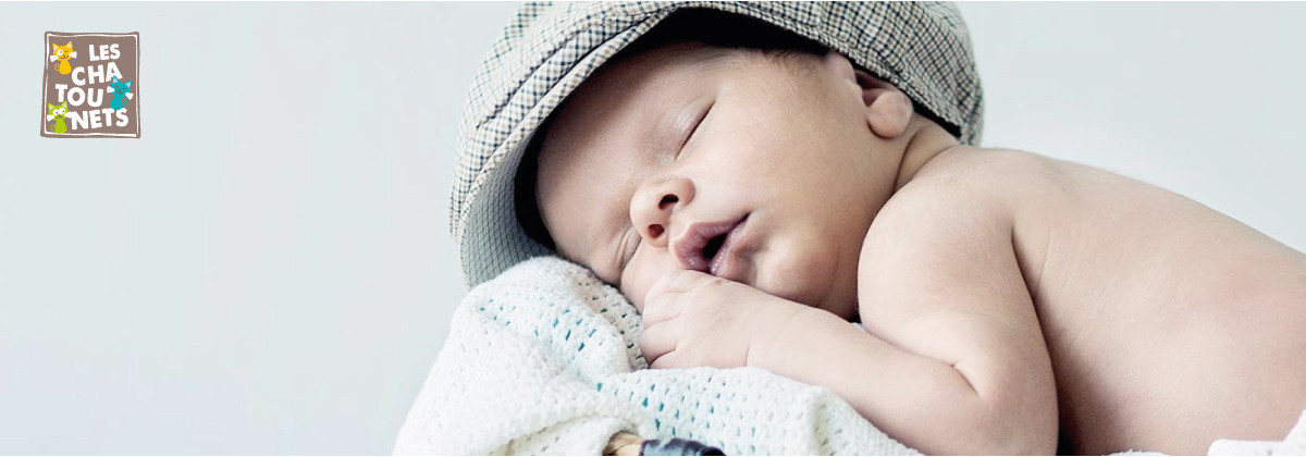 Les collections chez Les Chatounets