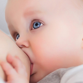 Connaissez-vous les coquillages d'allaitement ?